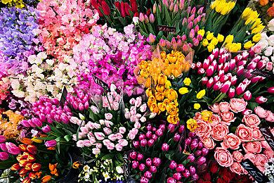 开放世界狩猎冒险新游《狩猎之道》实机演示 风景怡人