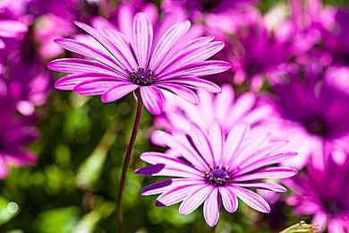 国产游戏《影之刃零》世界观故事情报：半开放世界 多个大型地图